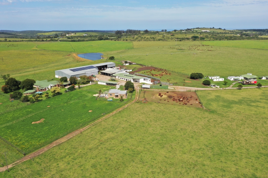 3 Bedroom Property for Sale in Thornhill Eastern Cape